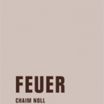 Feuer - Chaim Noll